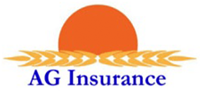 A G Insurance - Logo 800