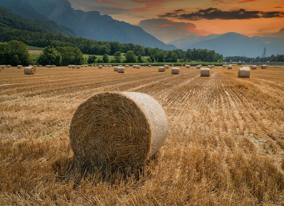 About Our Agency - Hay Bales in a Field Against a Sunset Sky