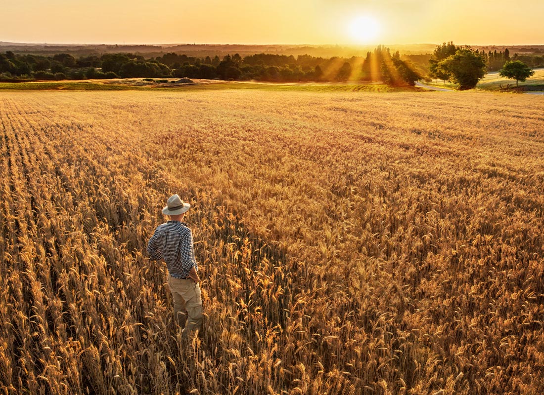 Contact - A Farmer Standing in His Wheat Field at Sunset