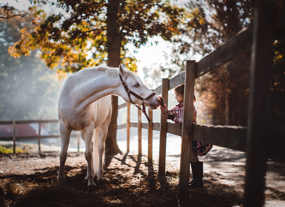 Perry, KS - Girl With a Horse Standing With a Fence in Between at a Farm in the Shade